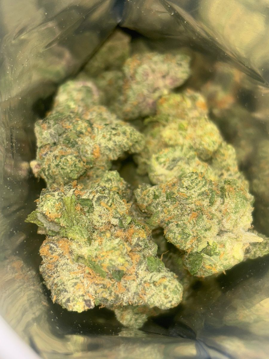Apple Fritter strain