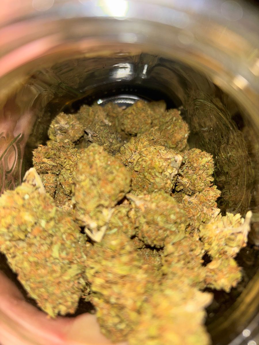 Agent Orange strain