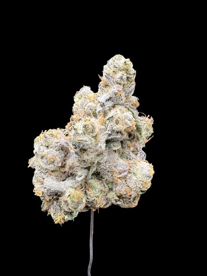 Grass Hemp Ssog