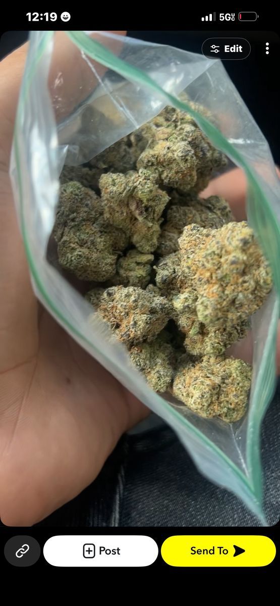 Stuffy’s Orange Creamsicle