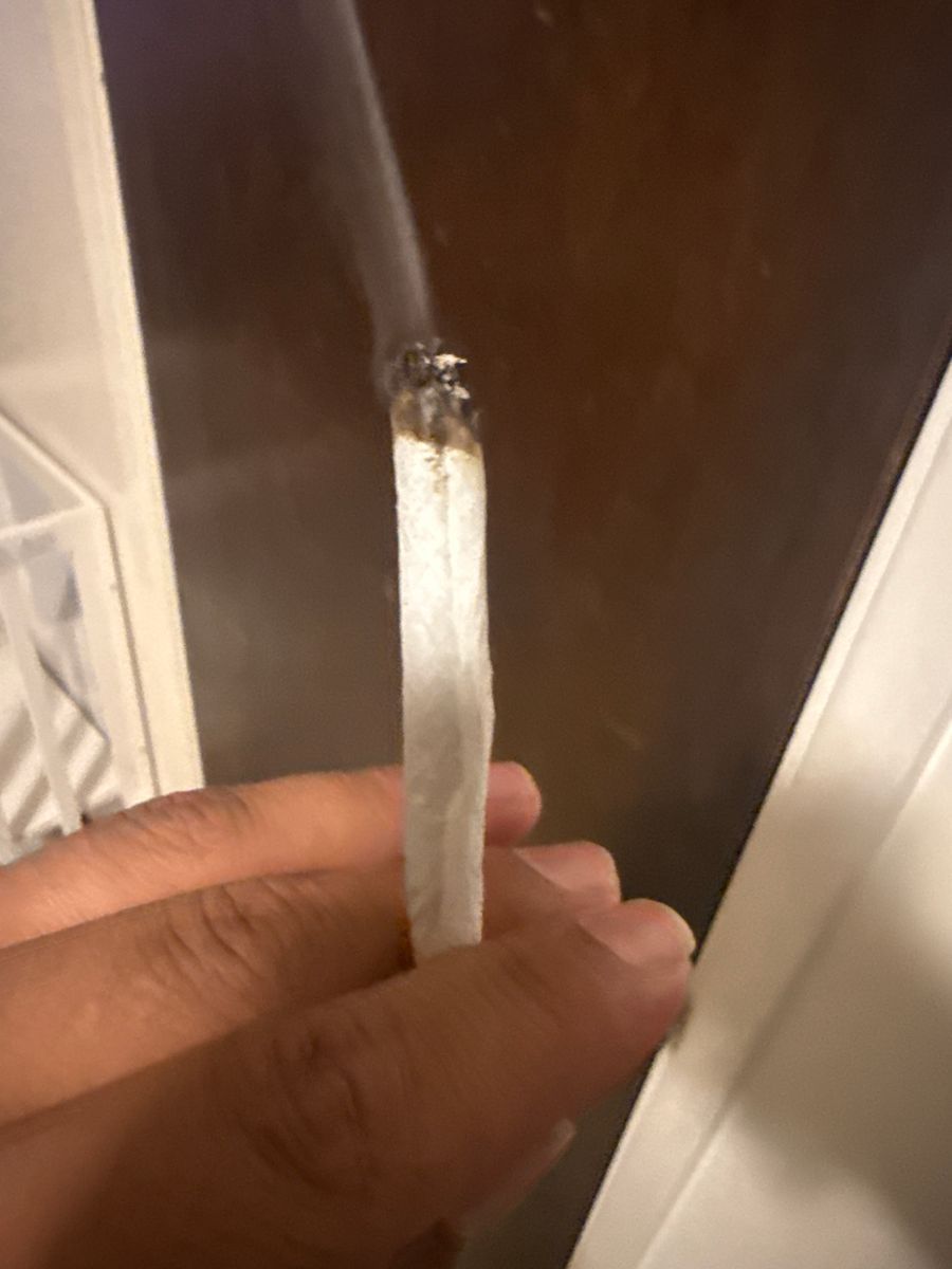 Gbsc Ricky’s Hash Plant