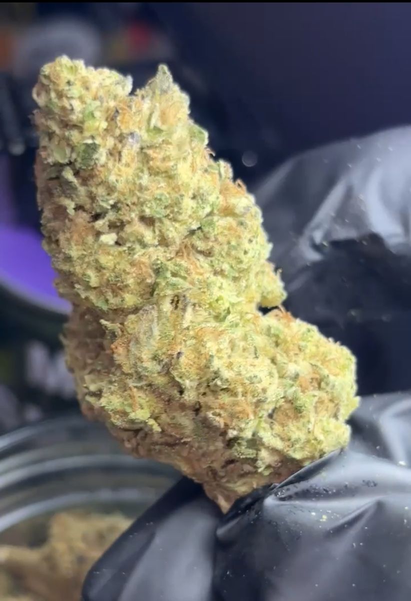 Garapples strain
