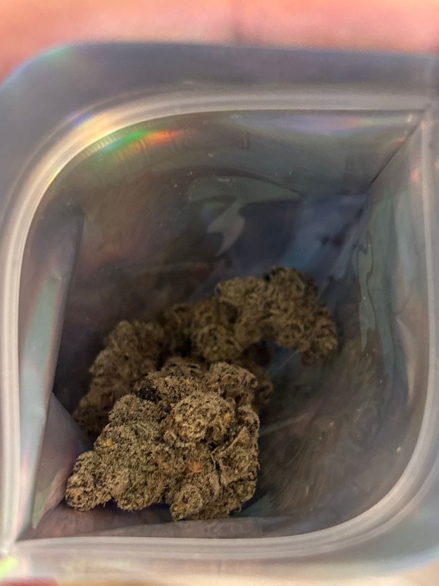 Gavo Farms Alien Og