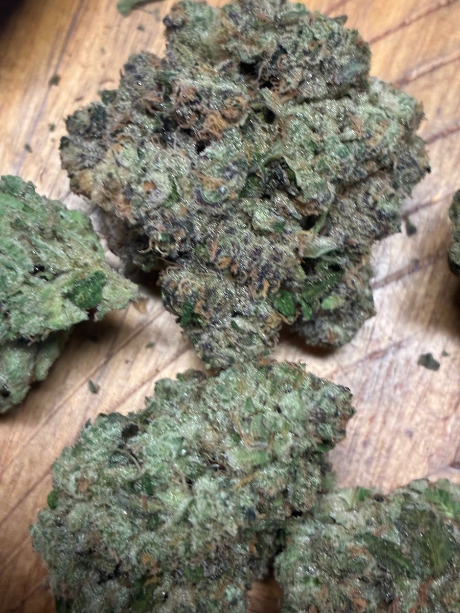 Jack Herer X Unknown strain