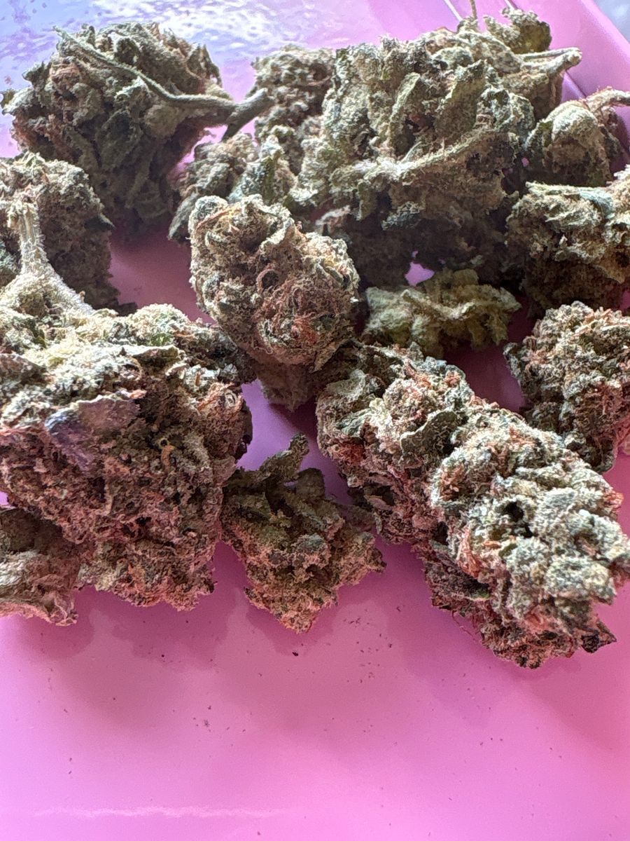 Tropsanto strain