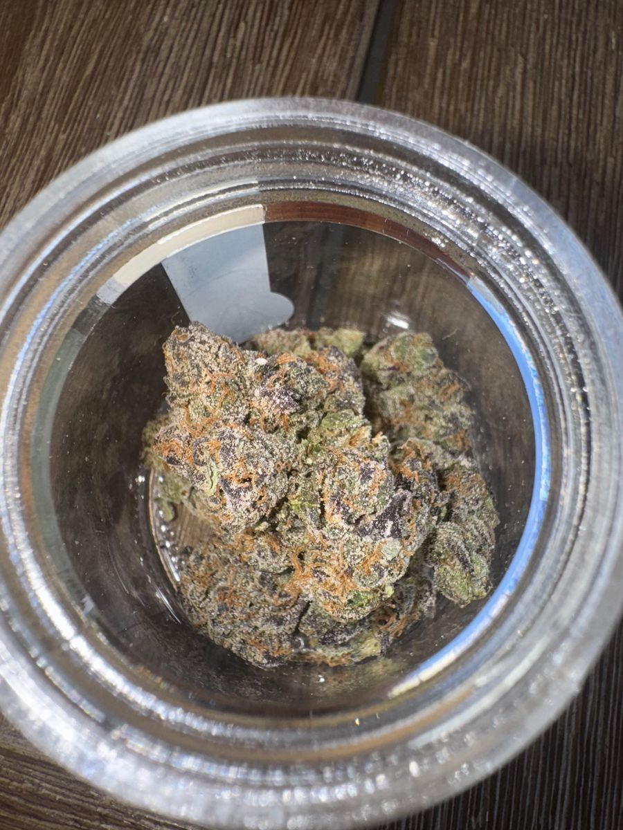 Up North Lemon Cherry Sherbet