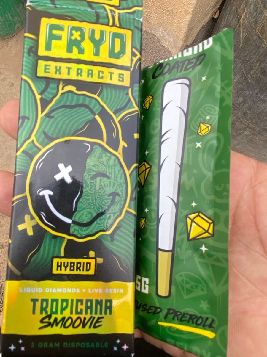 Fryd Stracats Tropicana