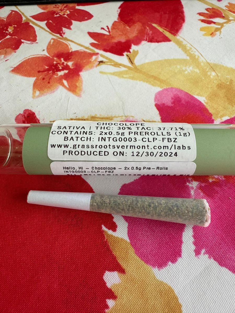 Hello, Hi: Chocolope