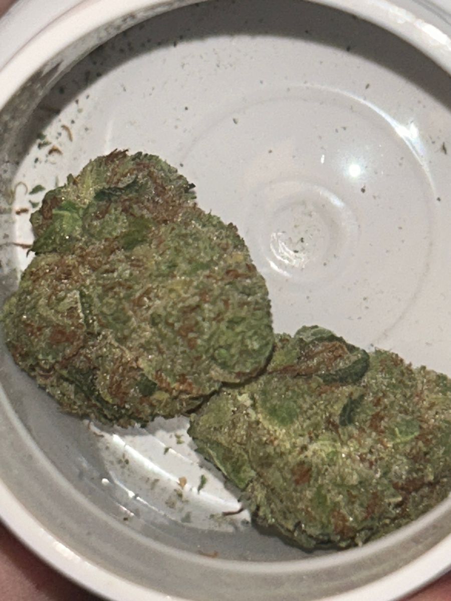 Cresco Strawberry Banana X Papya