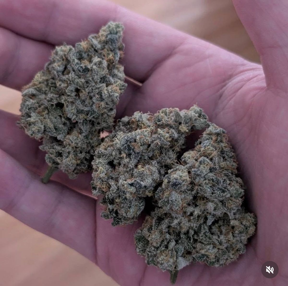 Twogrowtreez: Zoap X Breath Of Berry #2