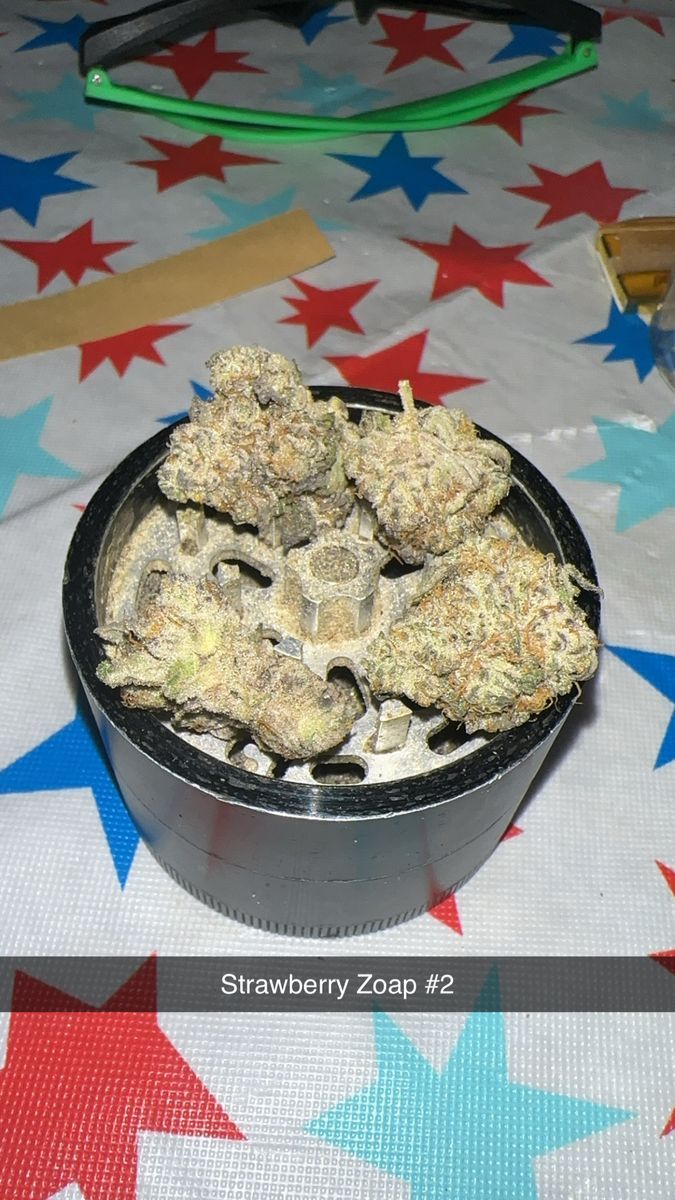 Maine Trees Strawberry Zoap #2