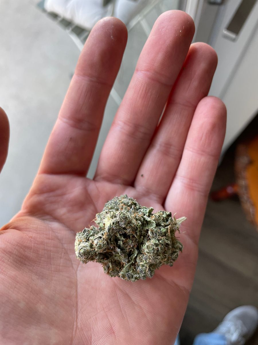 Electric Peanut Butter Cookies strain