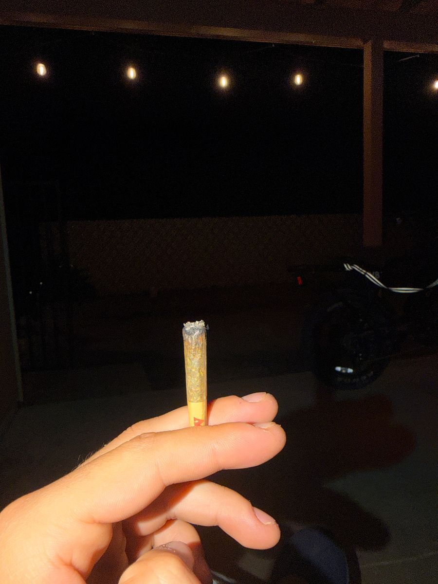 Gras Greasy Monkey