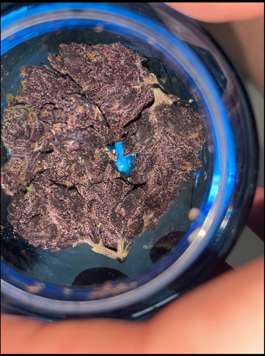 Purple Sand strain