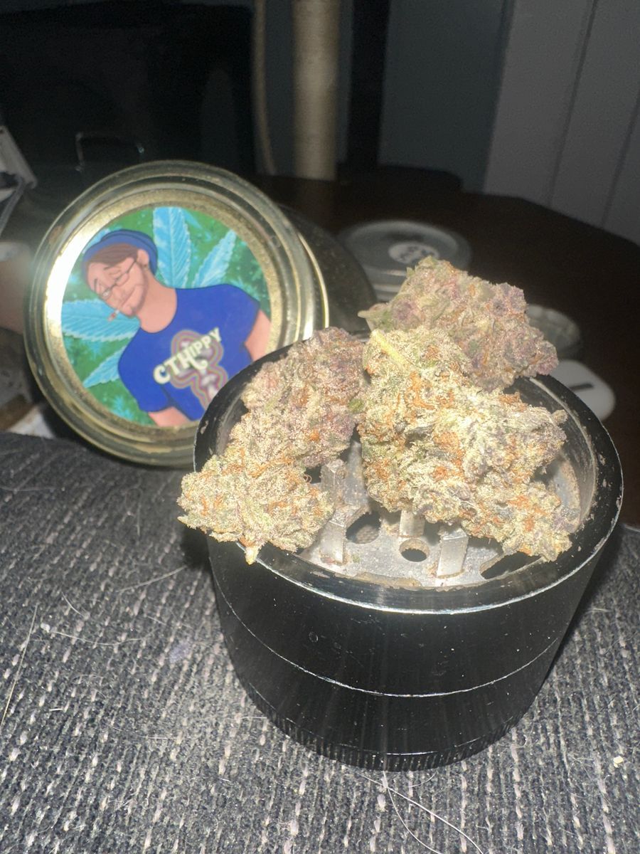Maine Trees Secret Cookies X Cherry Thunderfuck