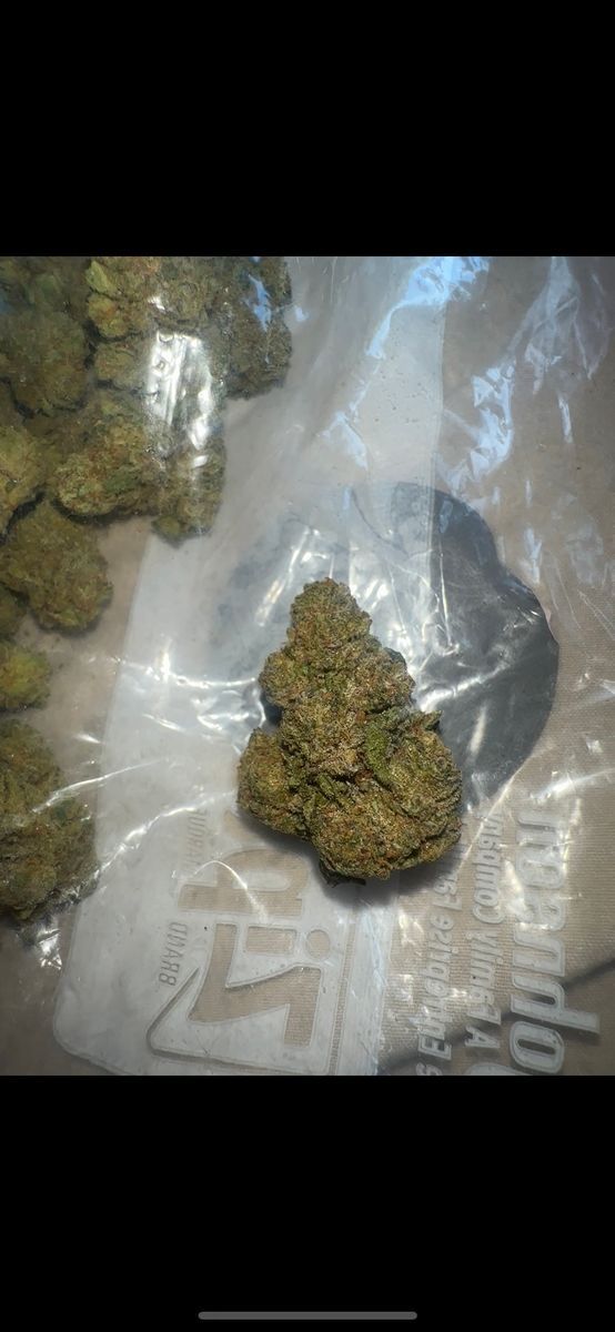 Norcal Gush Mints