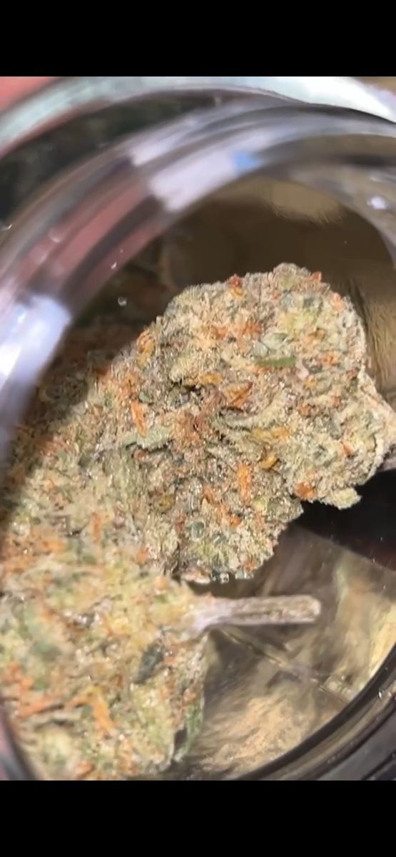 Agro Coutoure Super Lemon Haze