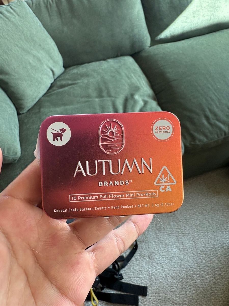 Gmo X Mule Fuel strain