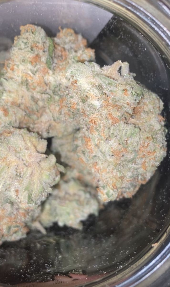 Gorilla Cookies strain