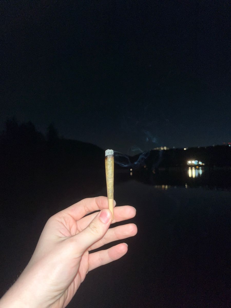 Rocky Mountain Cannabis Red Congo Guava