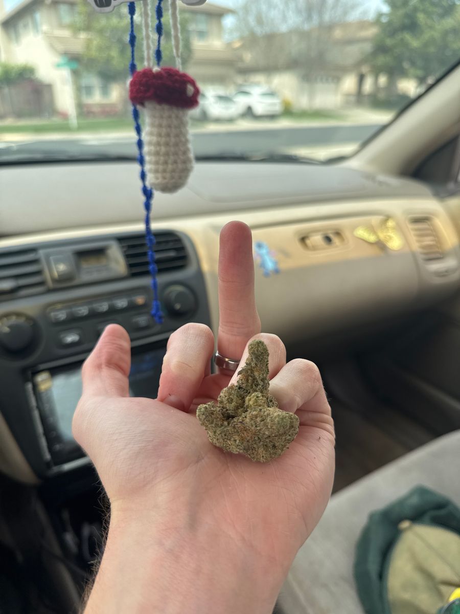 Mcflurry strain