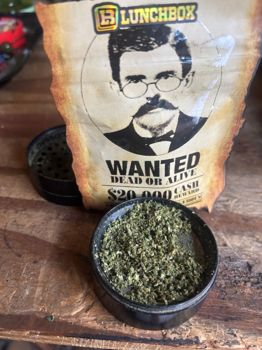 Lunchbox Doc Holidaze