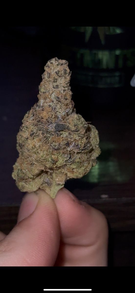 Cali Lotus: Jet Mints 