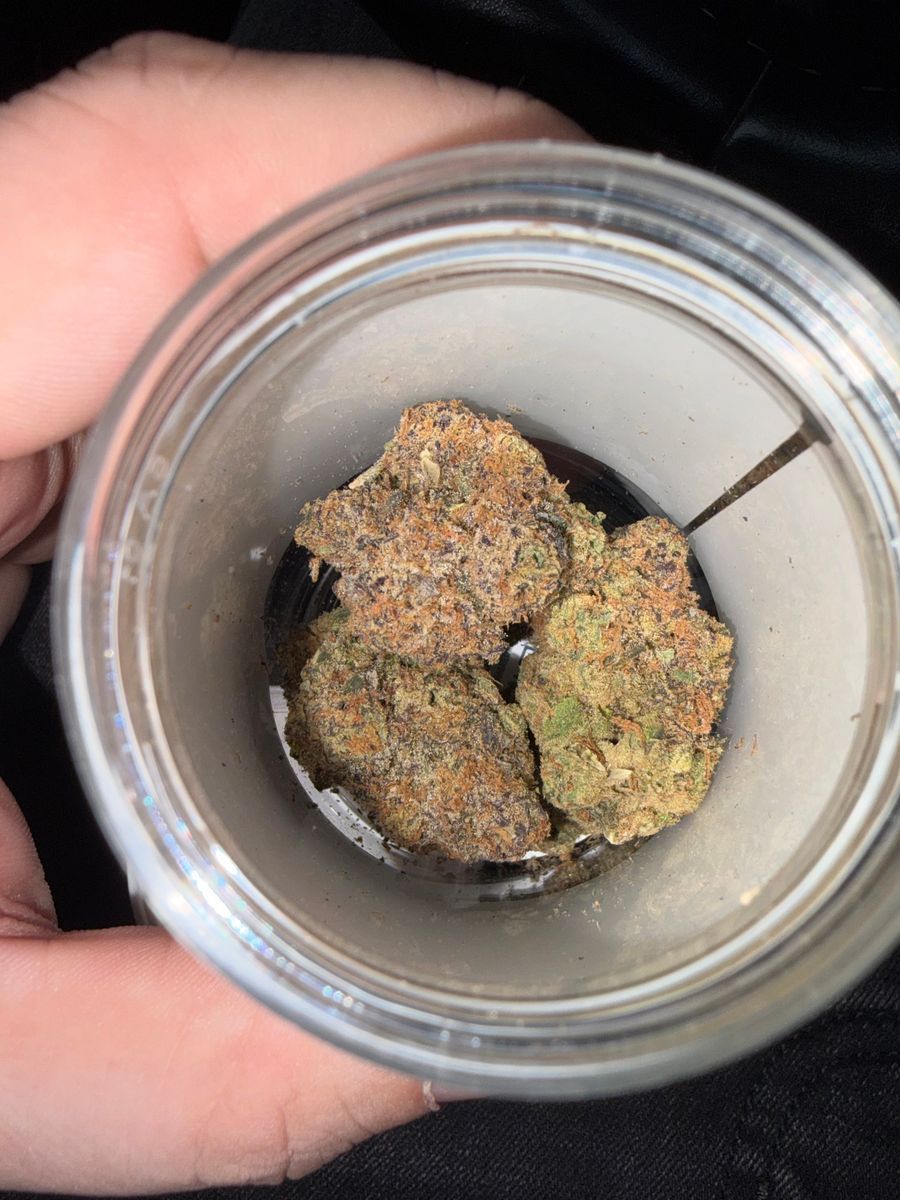 Watermelon Mojo Zktlz strain