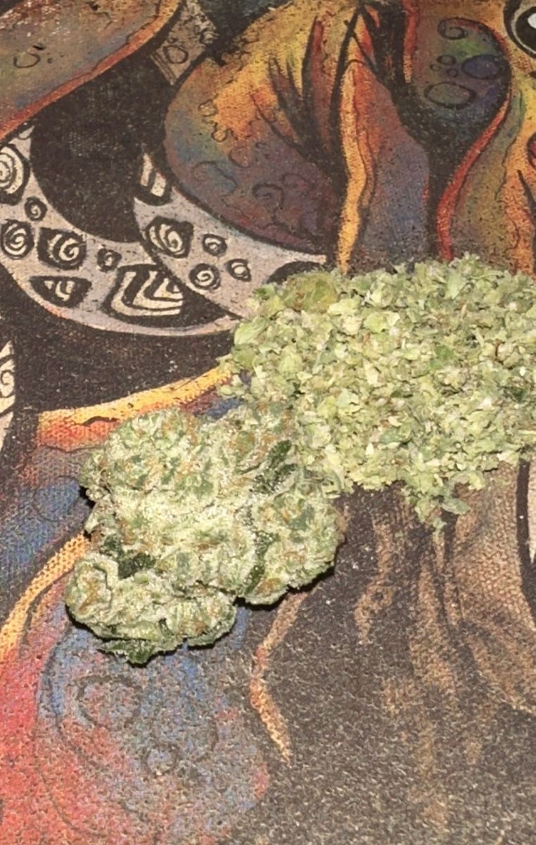 Glazed Appricot Medellin strain