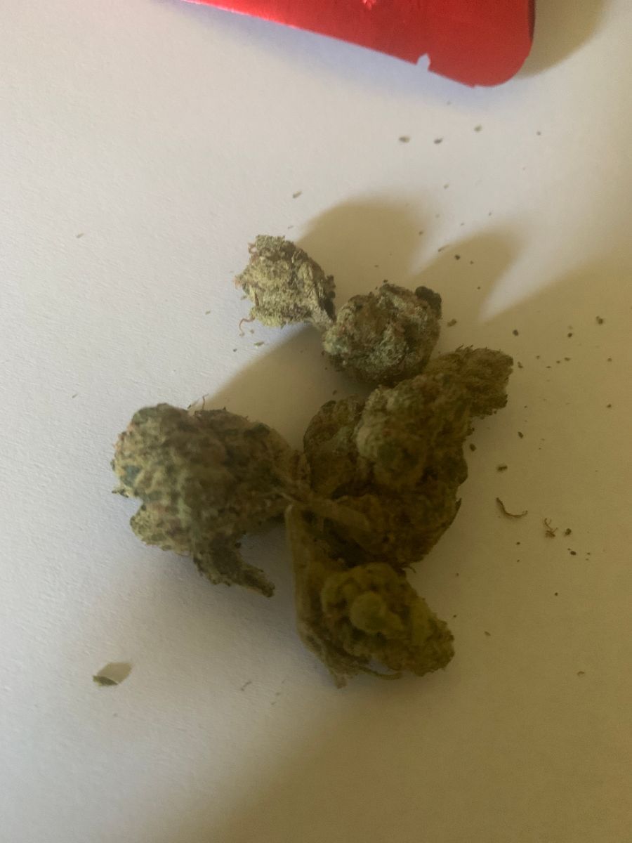 Dank Critical Kush