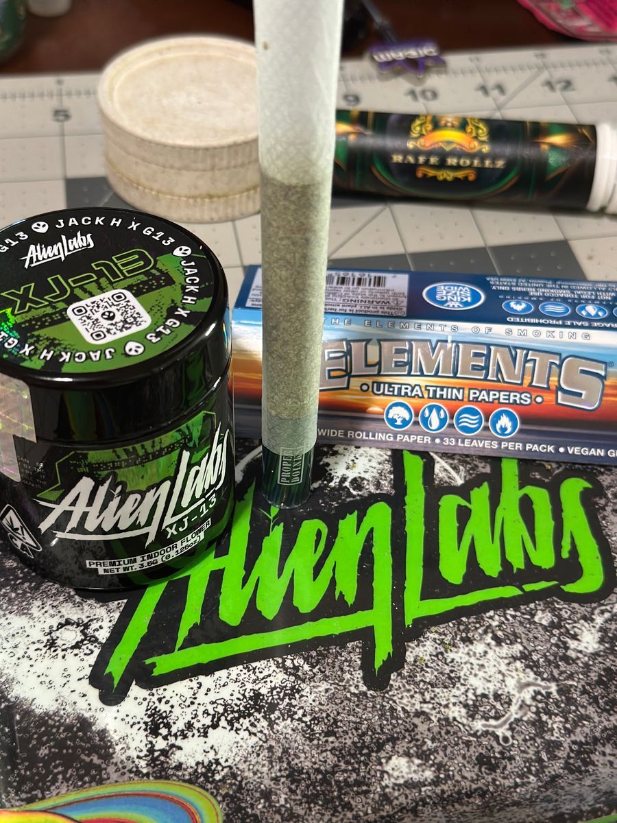 Xj-13 strain