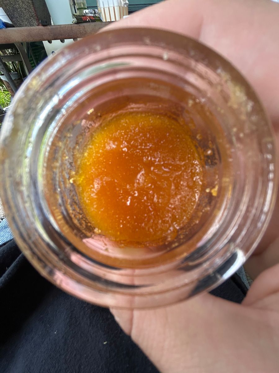 Cherrylato strain