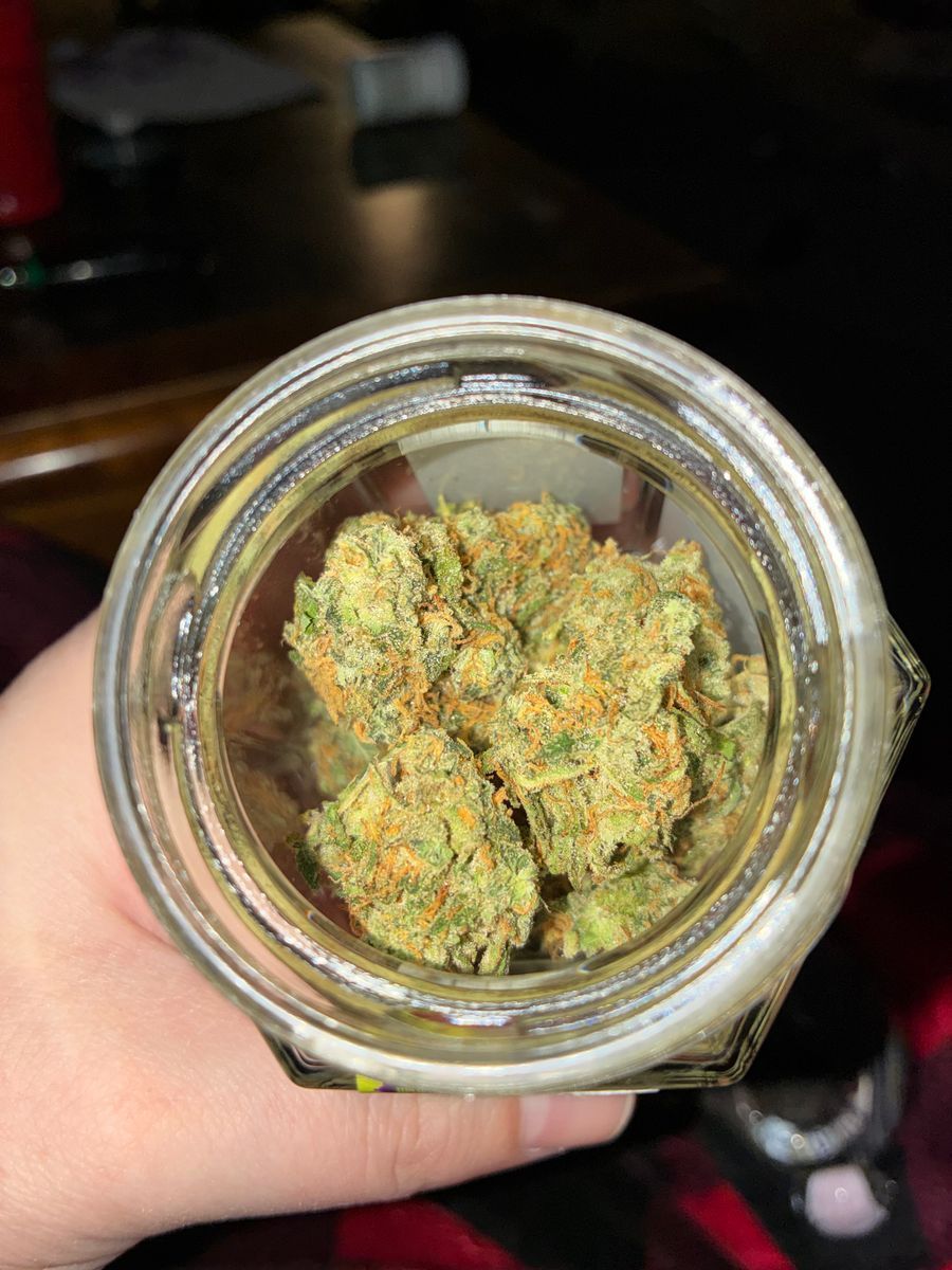 Agro Coutoure Sour Diesel