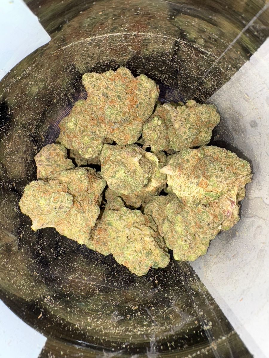 Raspberry Parfait X Ice Cream Cake strain