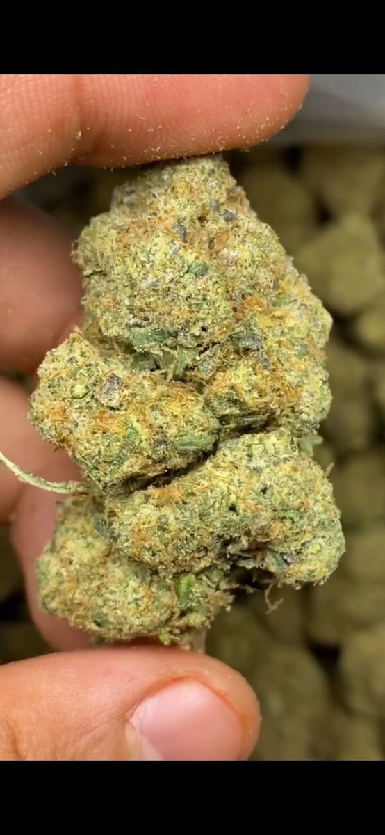 Sour Diesel brand