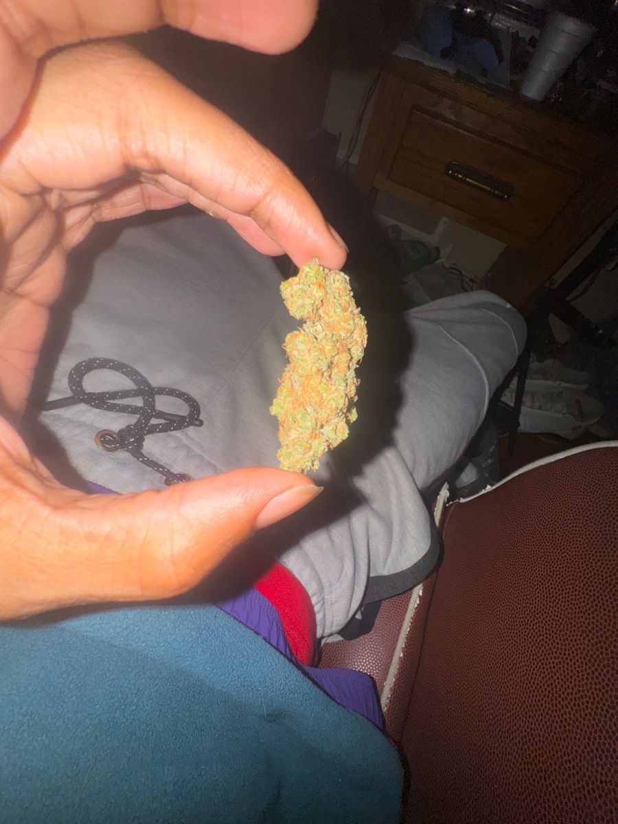 Lamb’s Bread strain