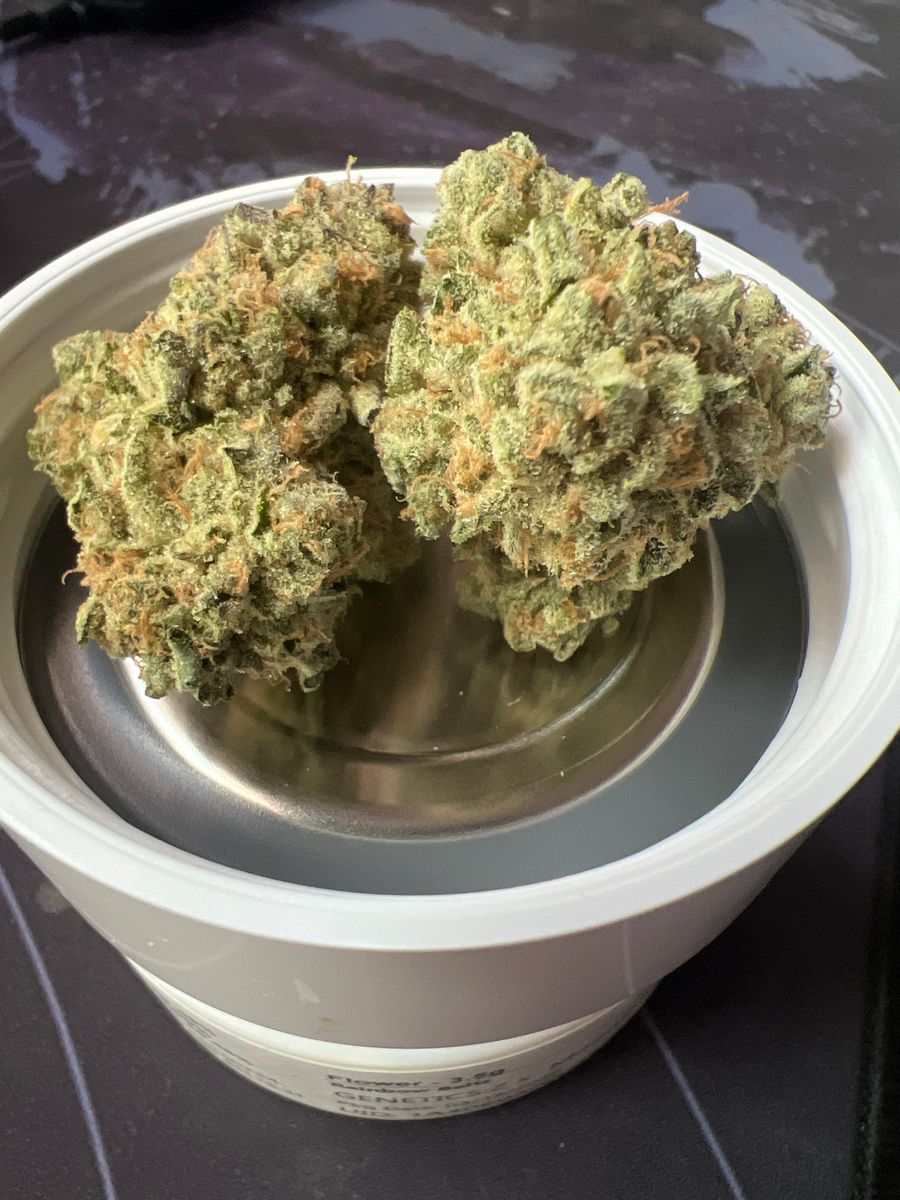 710Labs Rainbow Belts