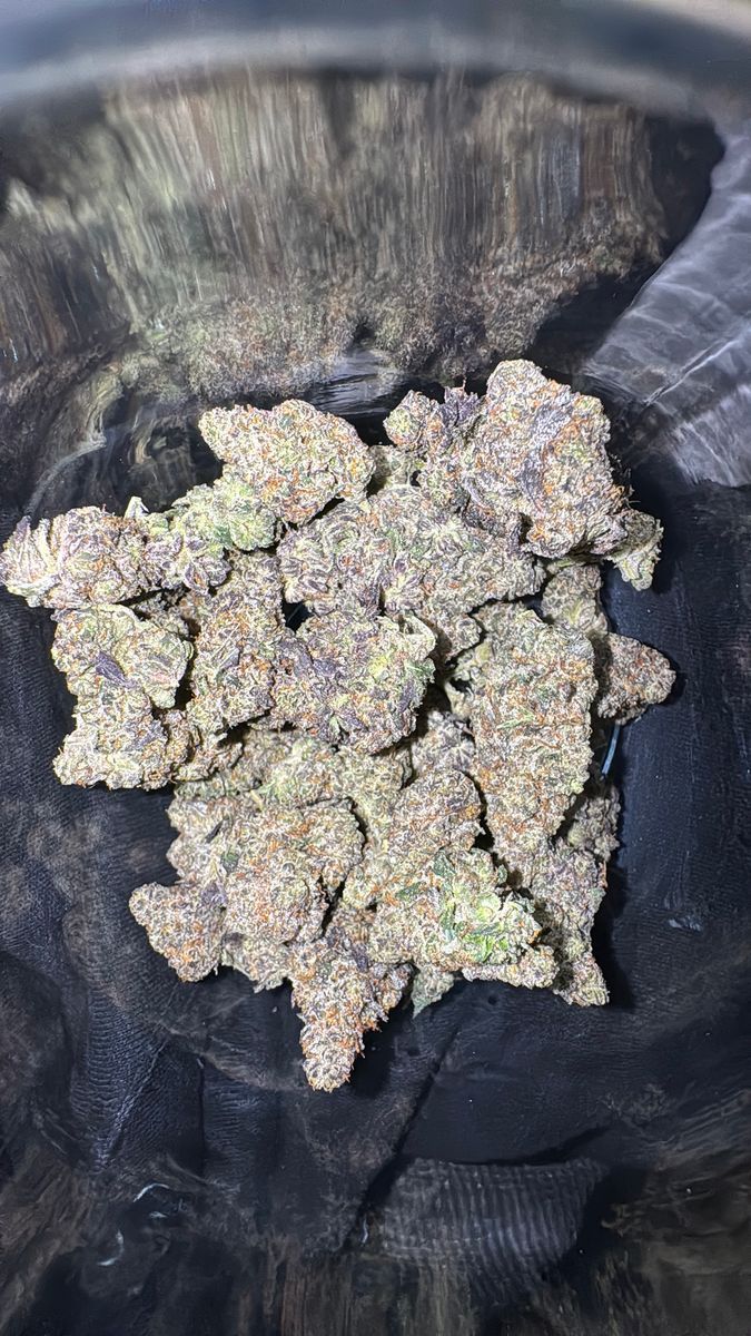 Pine Park Big Mac