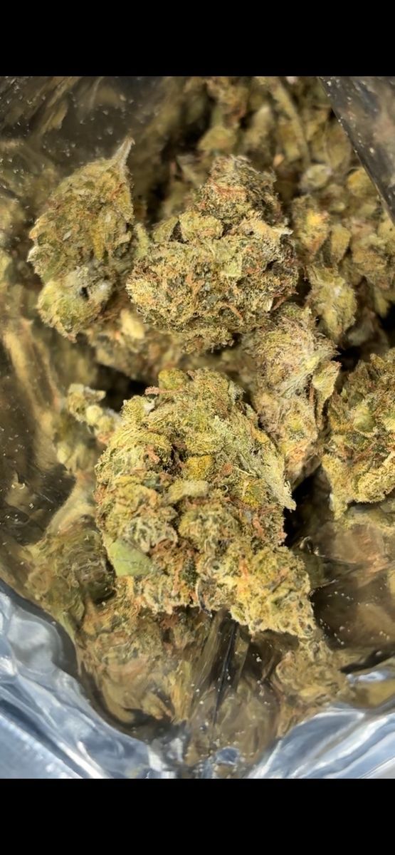 Jungle Boys X Packs Us Lemon Pound Cake