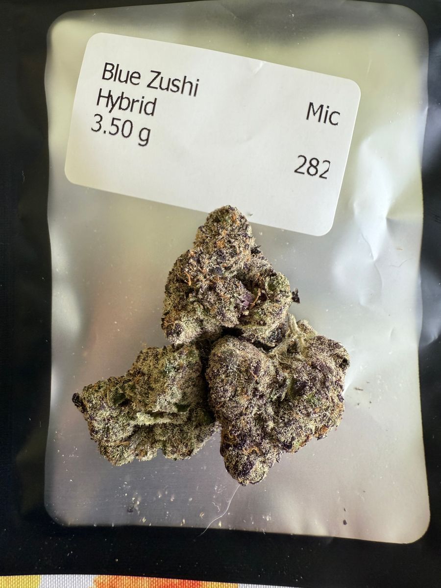 Blue Zushi strain