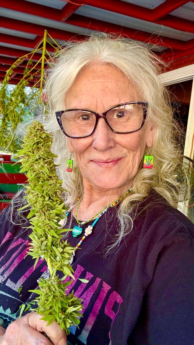 Grandfather Og strain
