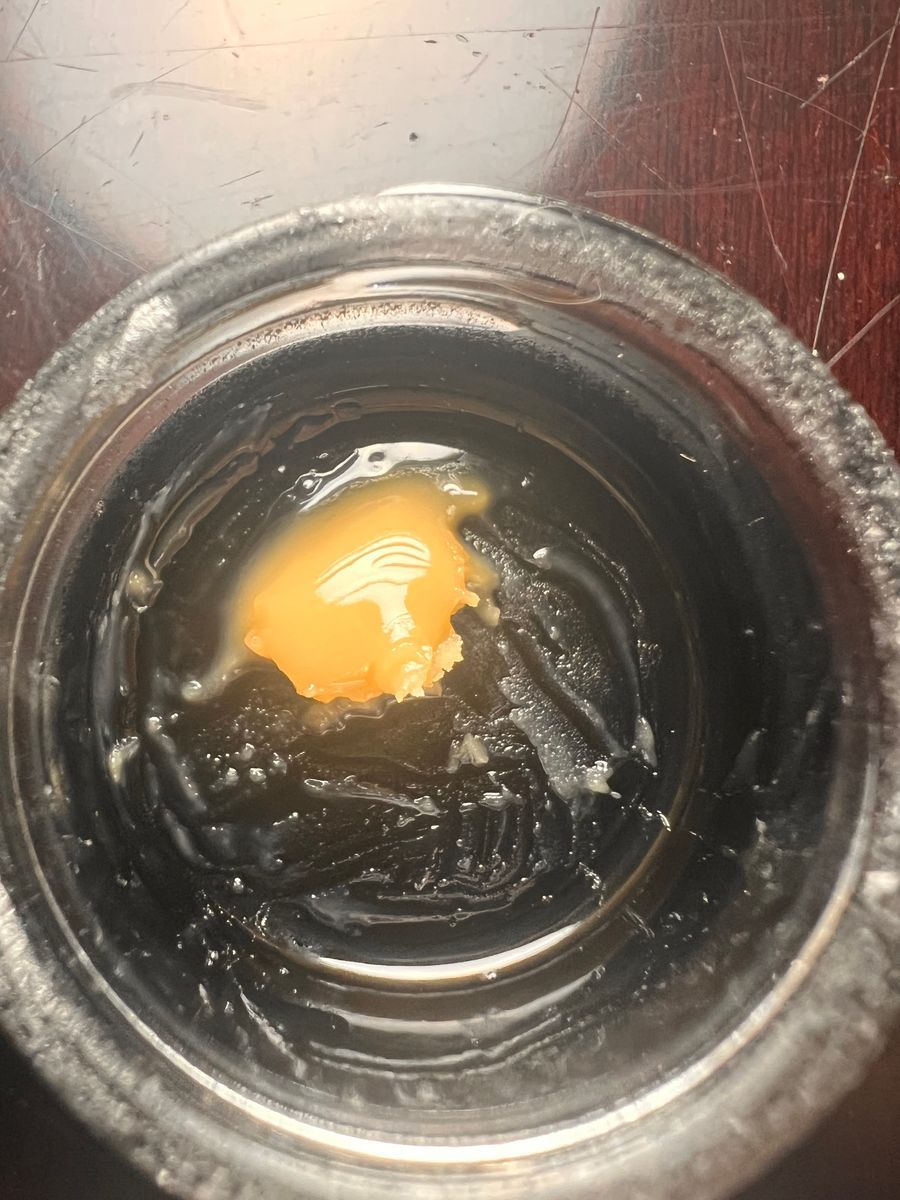 Sugar Bowl strain