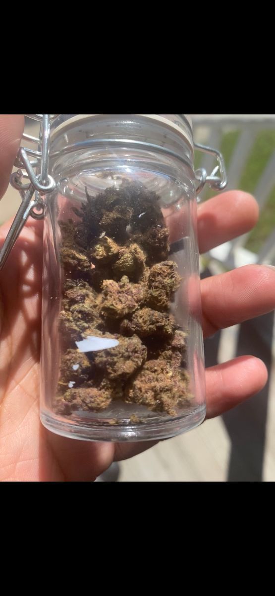 Street Gas Fruits Og