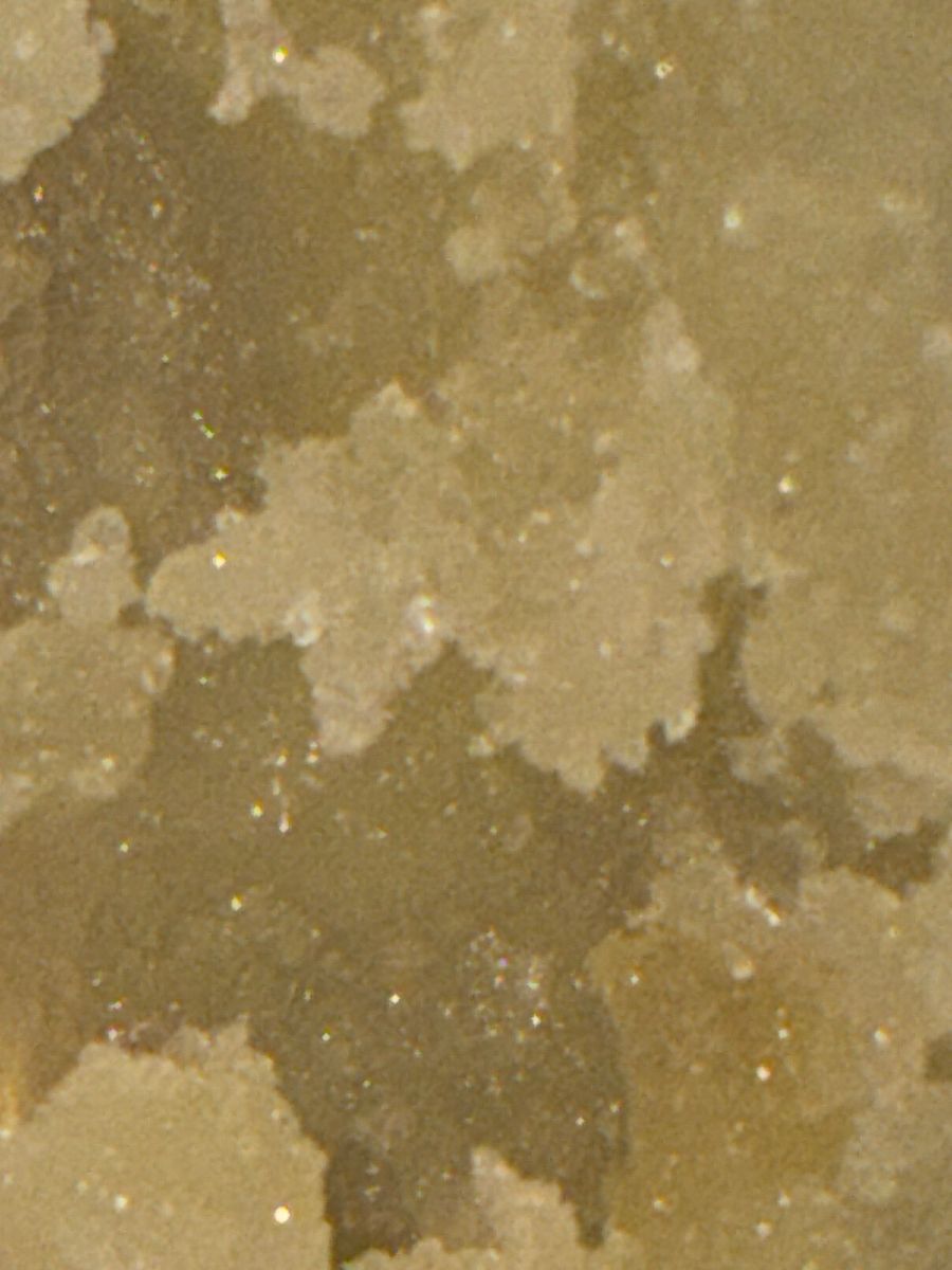 Whole Melt Extracts Snow Cap