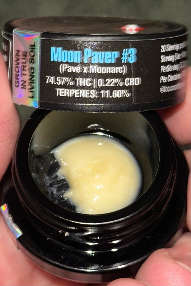 Focus North Moon Paver