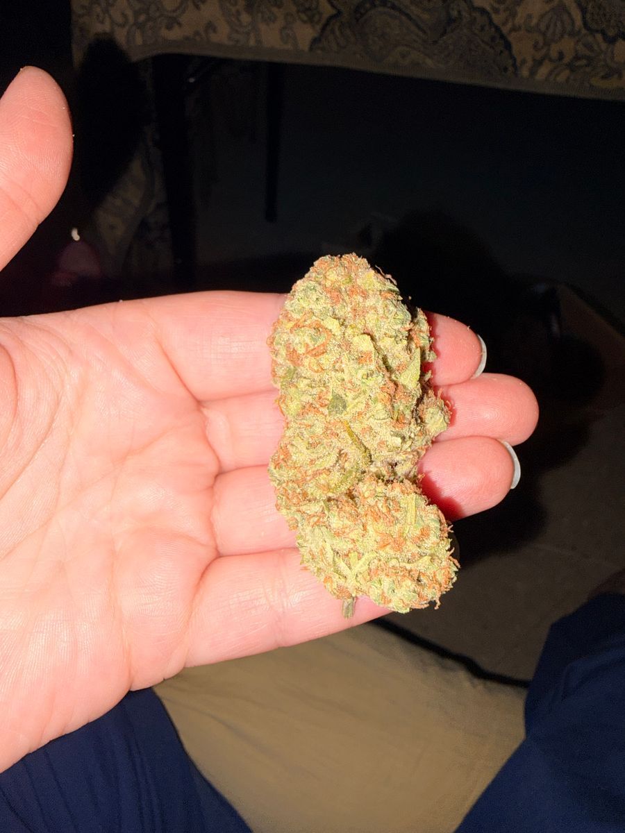 Somedudethatgetshisshitfrommassandnotct Papaya