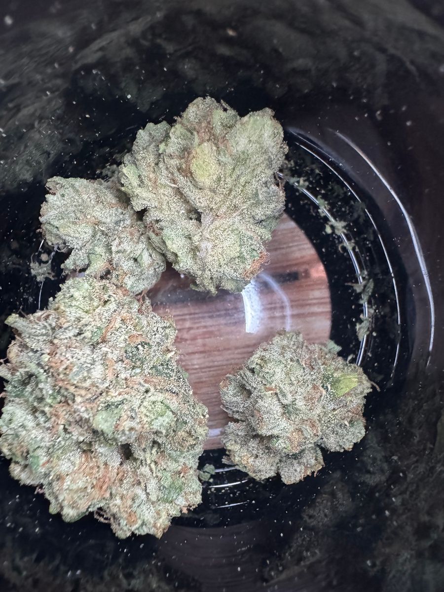 Brain Wash strain