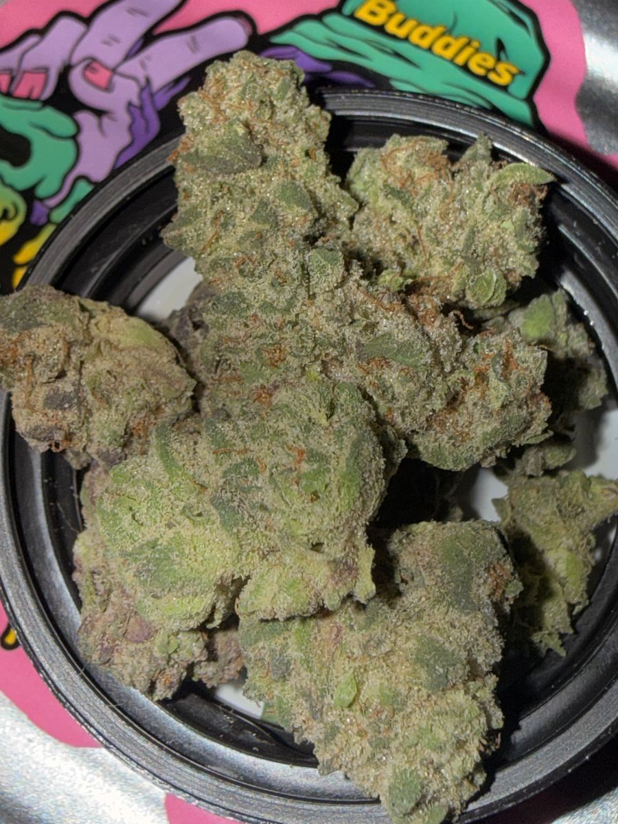 Panda Farms Malibu Panda