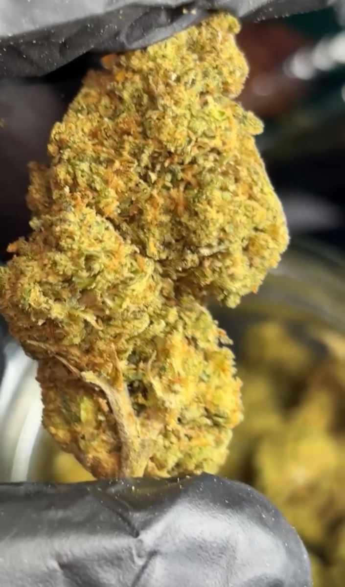 Donny Burger strain