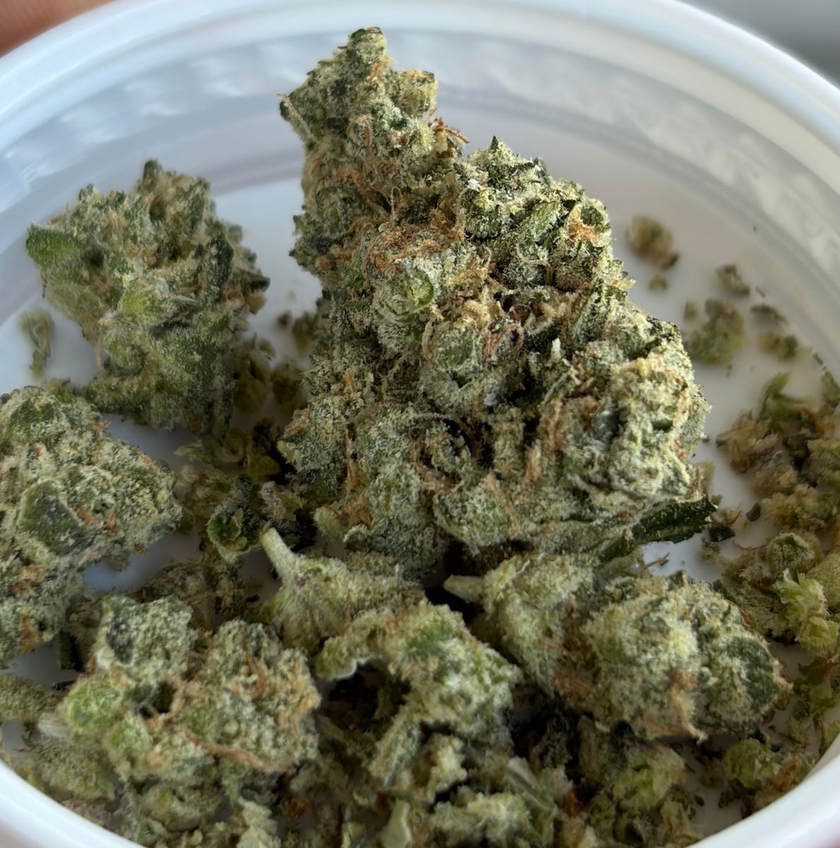 Angel Cake strain